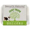 Benyfit Natural Just Tripe 2