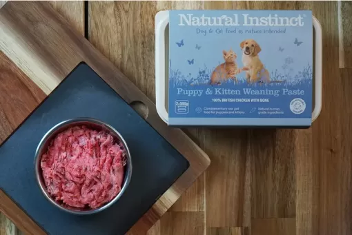 Natural Instinct Puppy and Kitten Weaning Paste 2