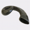 Buffalo Horn 3