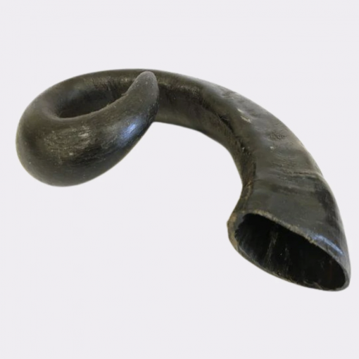 Buffalo Horn 1