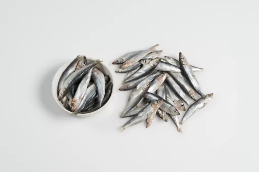 Paleo Ridge DIY Fish Whole (800g) - Image 2