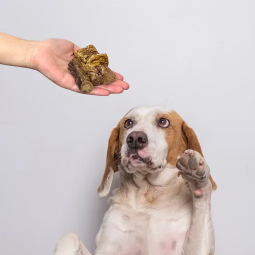 Beef Lung Cubes (1kg) 2