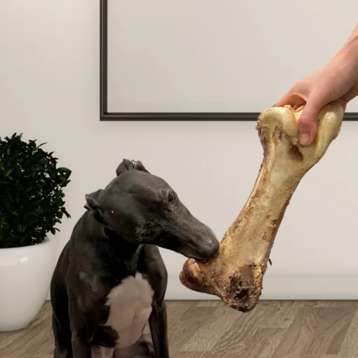 Jumbo Ostrich Bones (1pc & 5pcs) 2