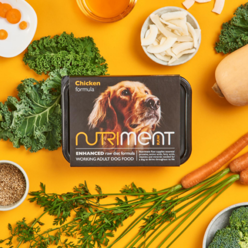 Nutriment Chicken formula - Adult - 500g tub 2