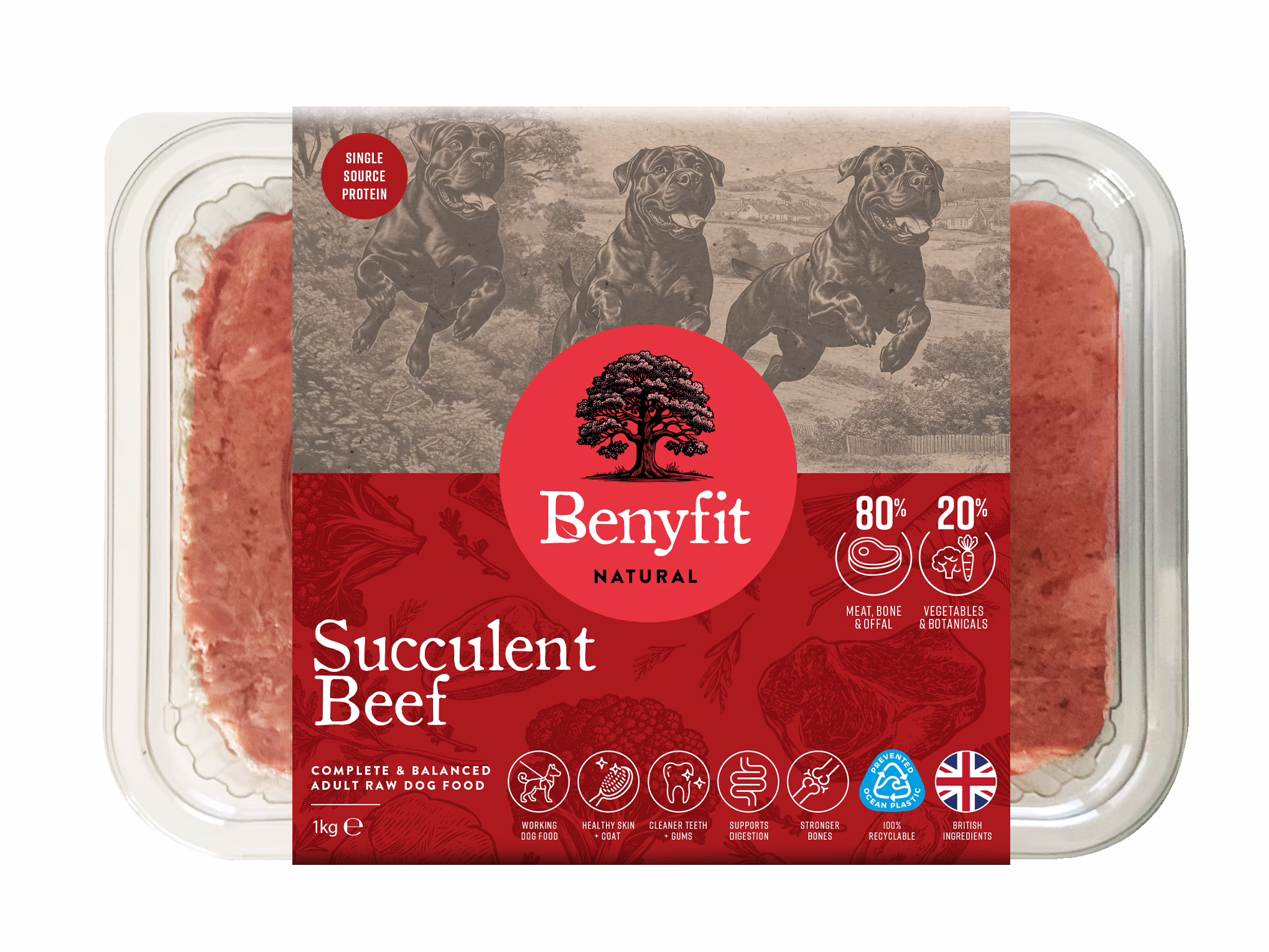 Benyfit Natural Succulent Beef